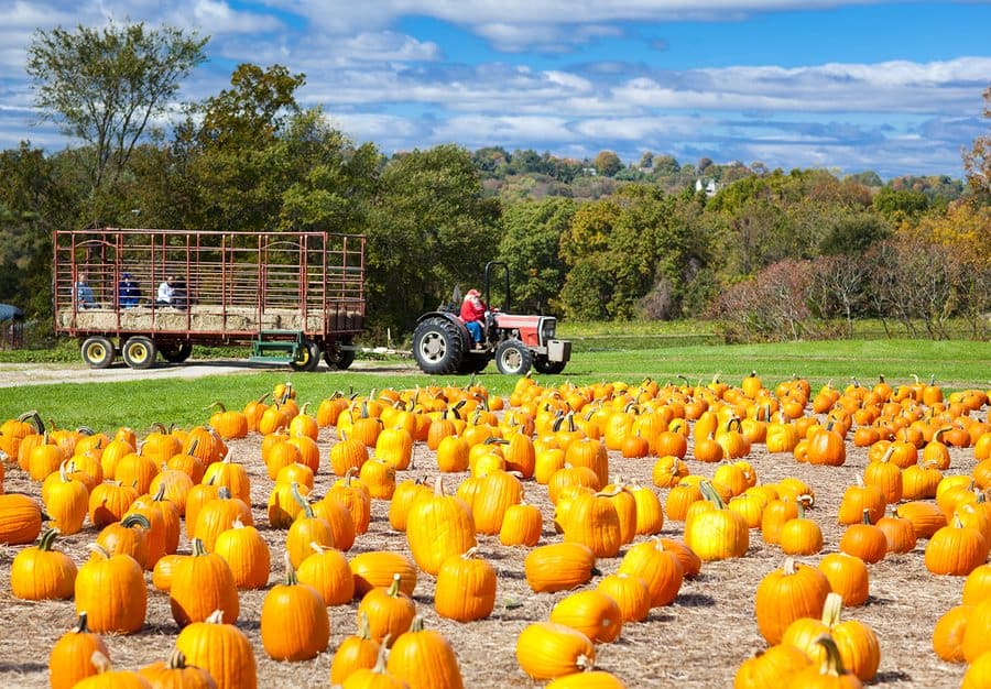 pennsylvania hayride acident lawyer