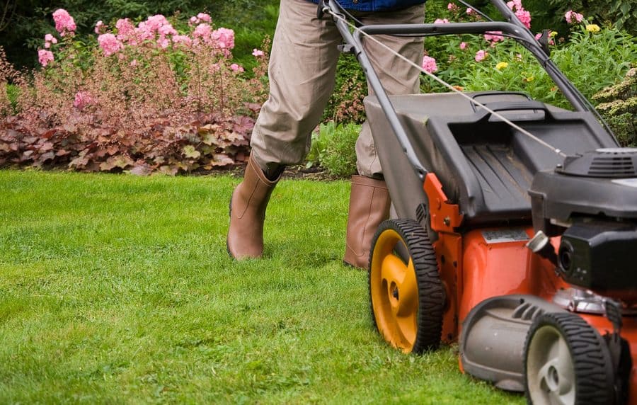 Strange But True: Personal Injury Cases Resulting from Lawnmower Accidents Lawnmower 2 - Strange But True: Personal Injury Cases Resulting from Lawnmower Accidents
